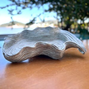 Vil Batista - Cerâmica Autoral -