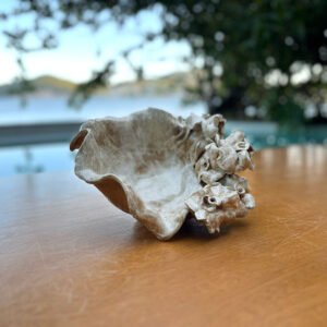 Centro de Mesa de Cerâmica com Flores Esculpidas Bege